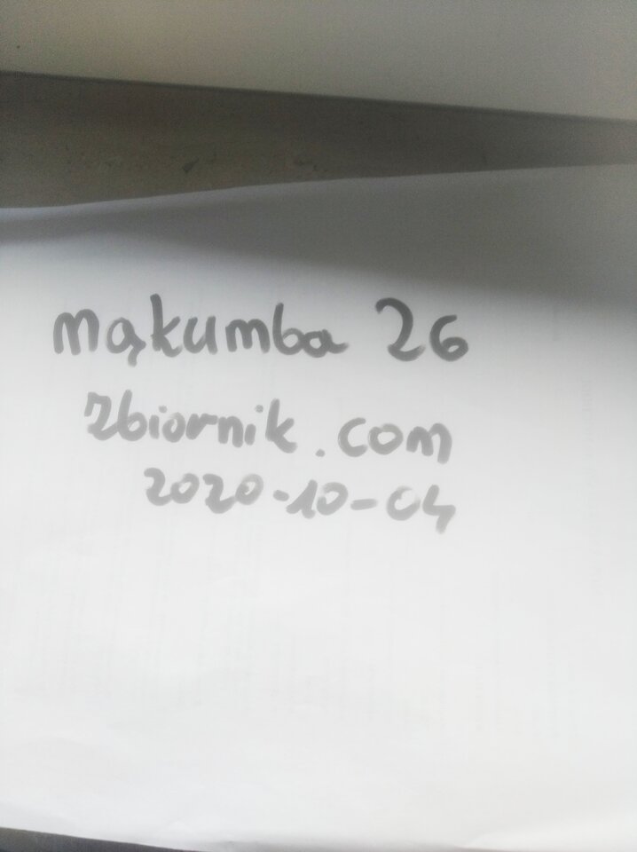 IMG_20201004_144609_1.jpg - makumba26