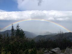 20201005_161117.jpg