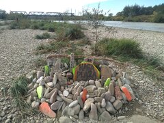 IMG_20201006_103456863.jpg