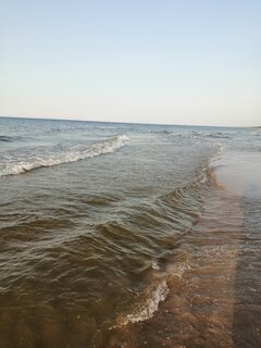 IMG_20200912_174345.jpg
