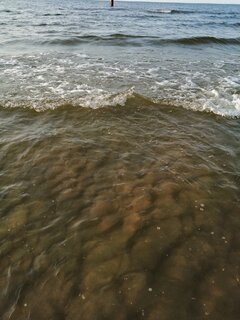 IMG_20200912_174330.jpg