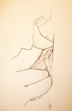 Art. No 48