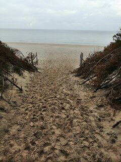 IMG_20201010_131210.jpg