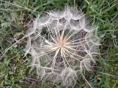 IMG_20201010_171706.jpg
