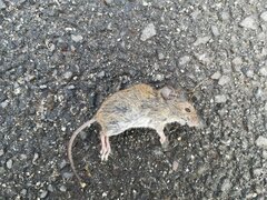 IMG_20201011_212921.jpg