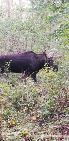 IMG_20201011_164856.jpg