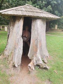 IMG_20201018_114016.jpg