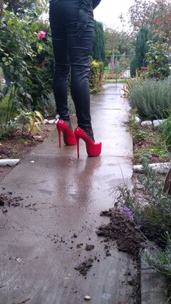 IMG_20201018_175719.jpg