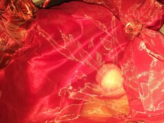 20201019_054953.jpg