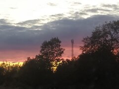 IMG_20201006_181128.jpg