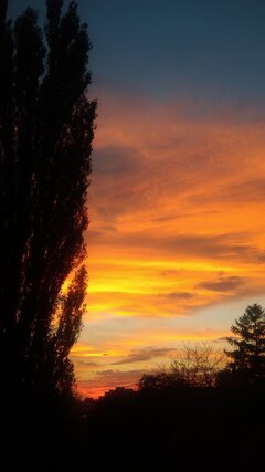P_20201021_175319_LL.jpg
