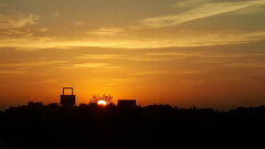20201022_071847.jpg