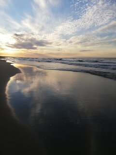 IMG_20201023_164633.jpg