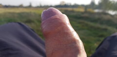 20201025_113320.jpg