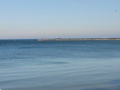 20201025_113302.jpg