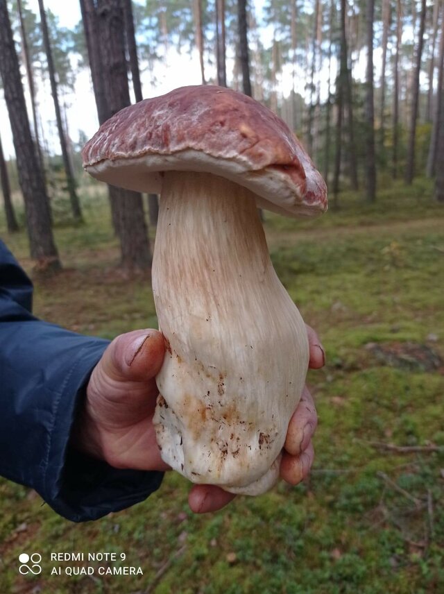 zbynio01