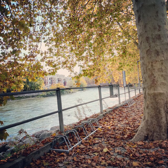 Daltonik20