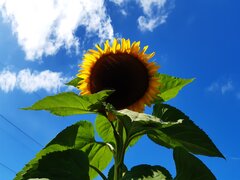 20200904_133401.jpg
