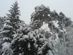 20170117_091734.jpg