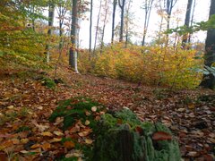 IMG_20201029_115033.jpg