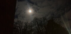 20201029_222624.jpg