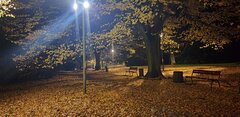 20201030_040118.jpg
