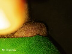 IMG_20201030_151750.jpg