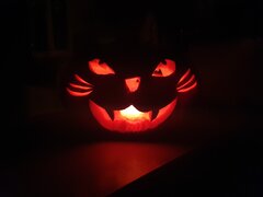 20201030_181316.jpg
