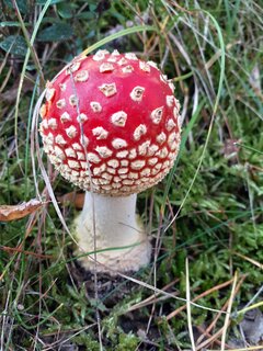 20201003_124851.jpg