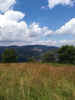 IMG_20180712_123339.jpg