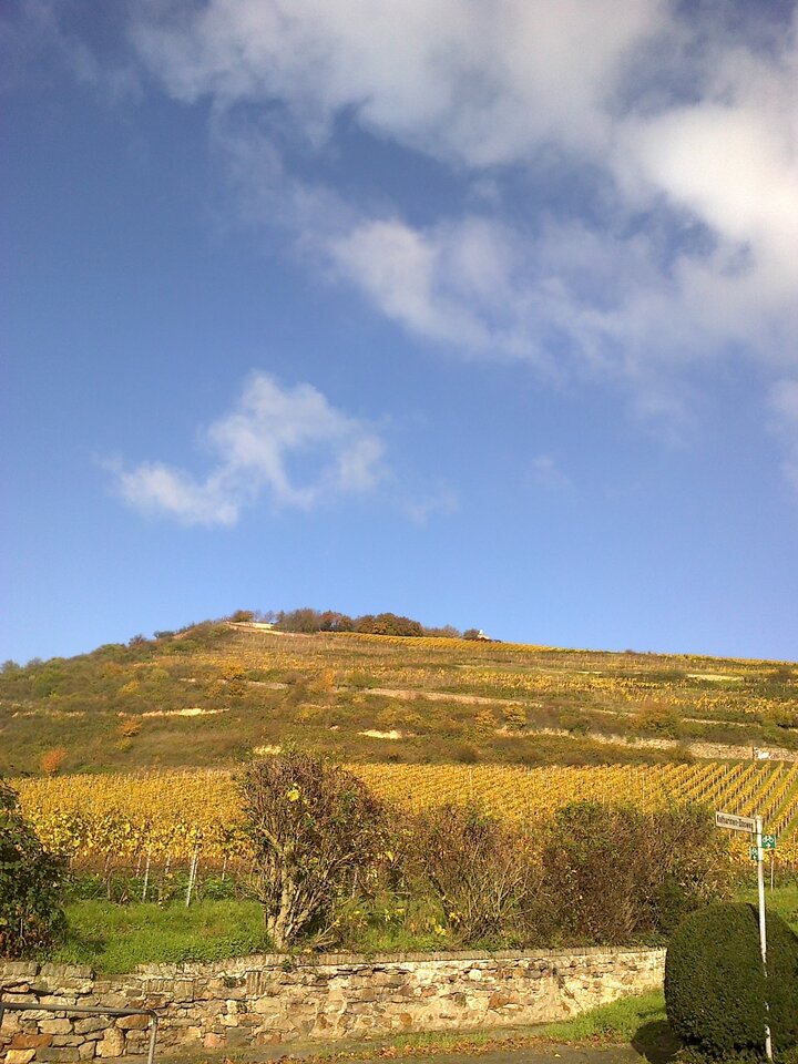 20131113011.jpg - atlas44