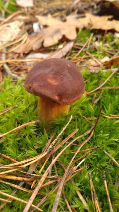 IMG_20201101_113518.jpg