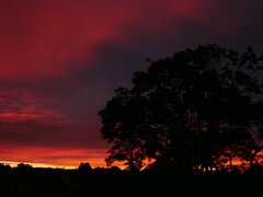 _1110455.JPG