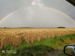 IMG_20200720_183249.jpg