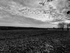 20201104_182833.jpg