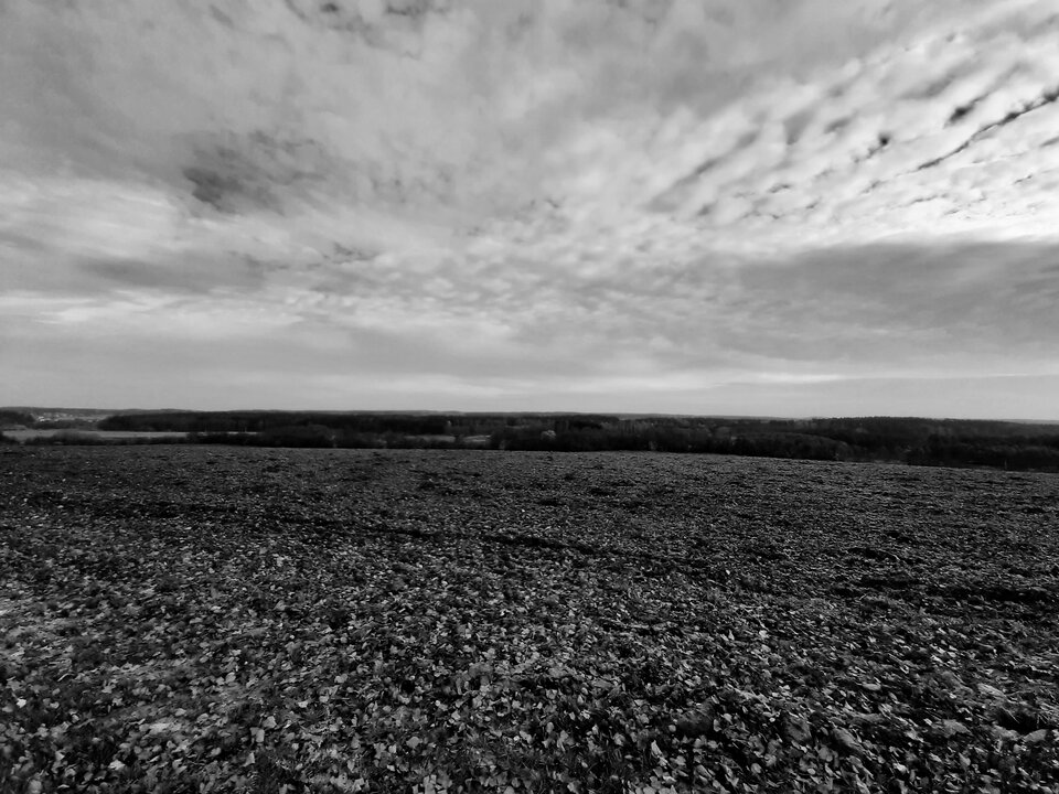20201104_182858.jpg - dino8