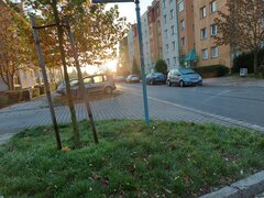 20201105_072418.jpg