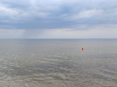 20200821_164756.jpg