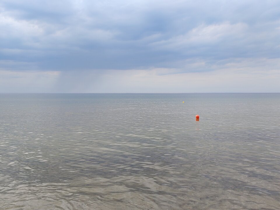 20200821_164756.jpg - Voltz1975
