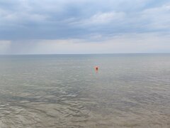 20200821_164800.jpg