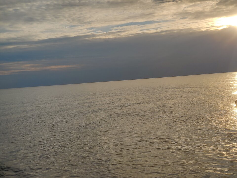20200820_191445_HDR.jpg - Voltz1975