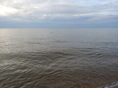 20200820_190337.jpg