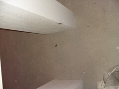 20201106_163425.jpg