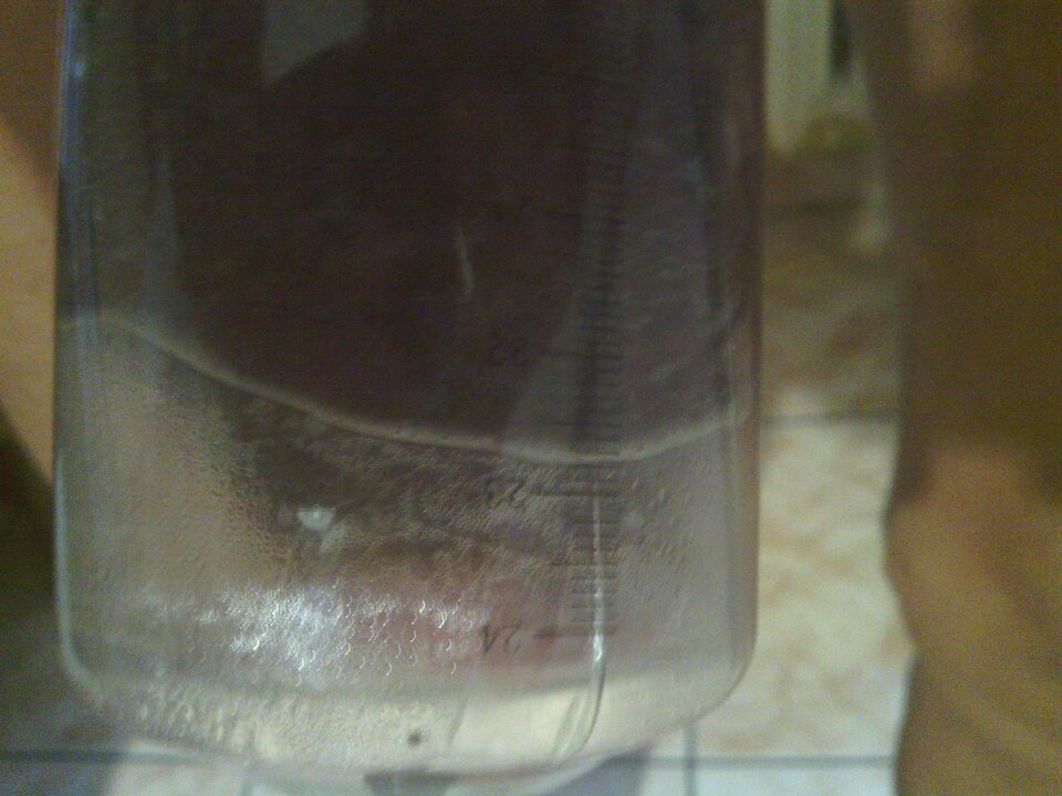 IMG_20201107_071252.jpg - martin120174