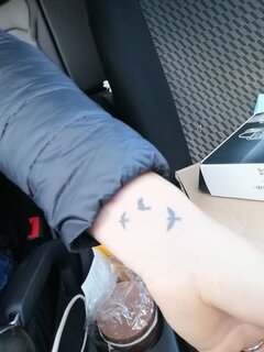 IMG_20201106_152040.jpg