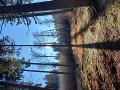 20201107_122818.jpg
