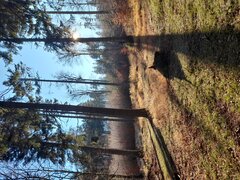 20201107_122746.jpg