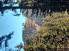 20201107_123447.jpg