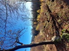 20201107_123927.jpg