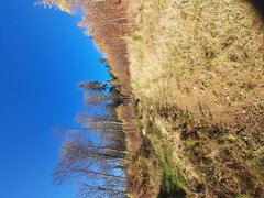20201107_123755.jpg